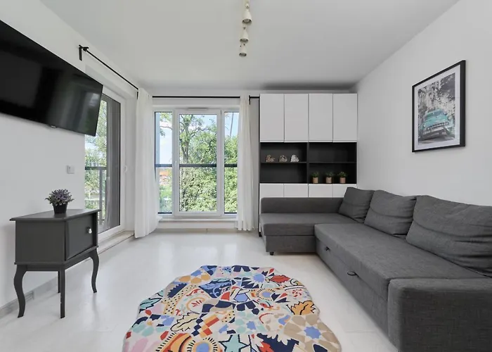 Spacious Apartment Dmowskiego By The River With Parking & Balcony By Noclegi Renters