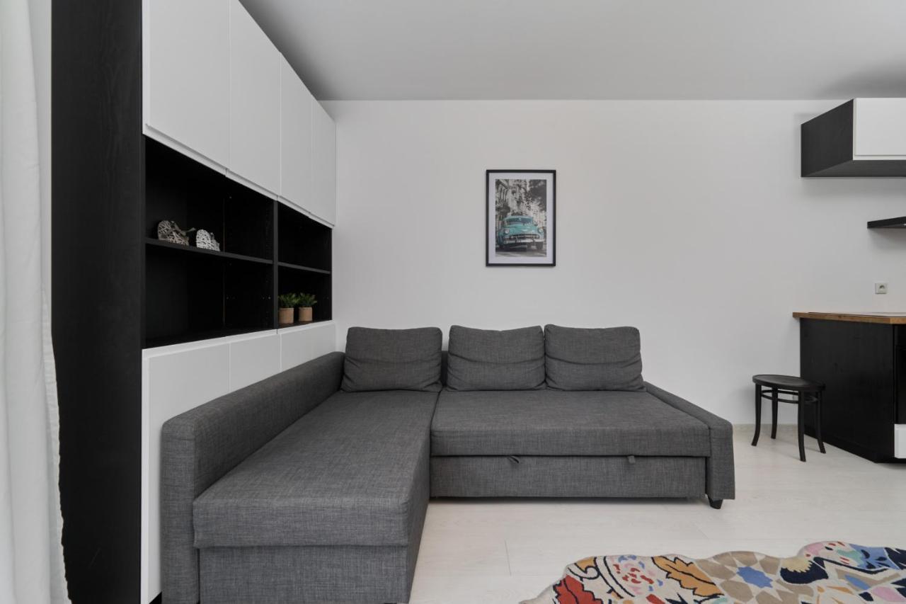 Spacious Dmowskiego By The River With Parking & Balcony By Renters * Wroclaw